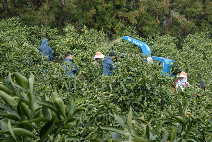 1/2 간벌 봉사활동2