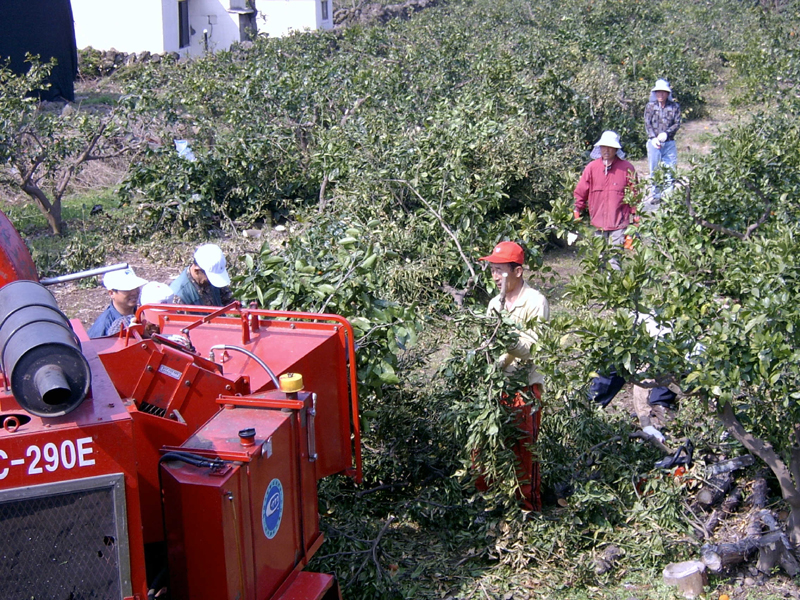 1/2 간벌 봉사활동3