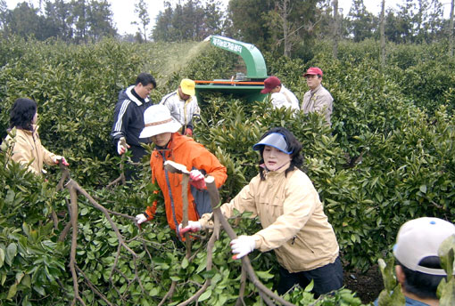 1/2 간벌 봉사활동5