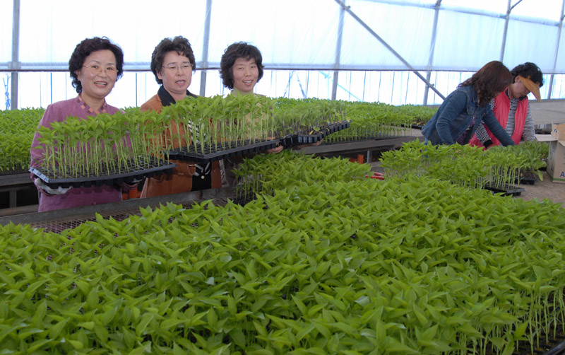 생활개선회장단 대상 텃밭가꾸기 교육
