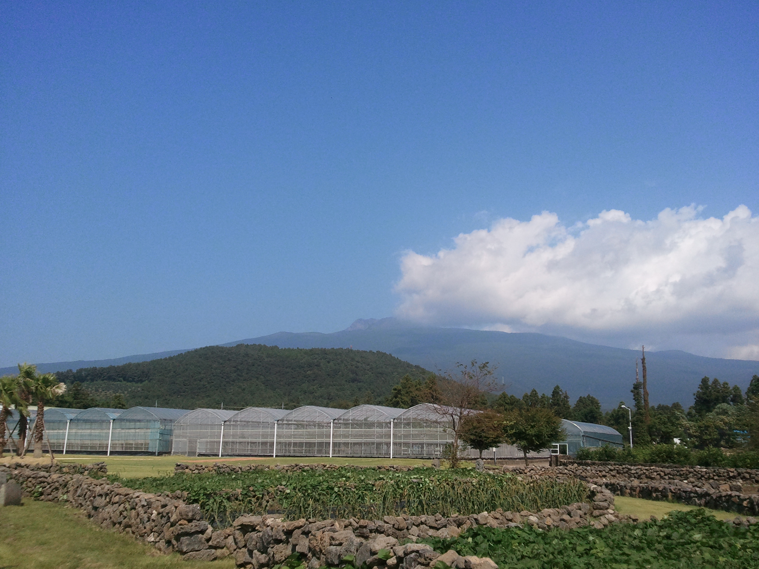 추석 잘 보내세요~~~