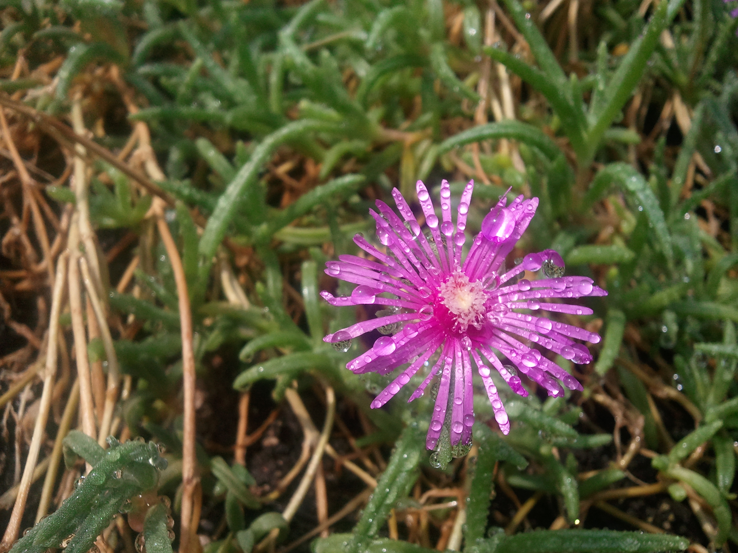 오늘의 원예치료실 풍경