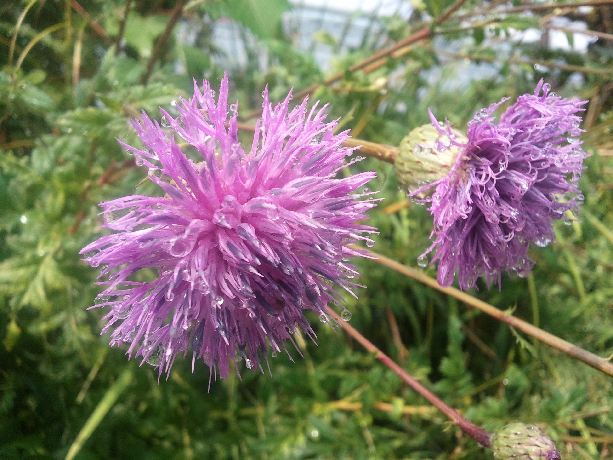 오늘의 원예치료실 풍경