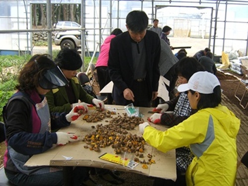 3월중 도시생활농업 활성화교육