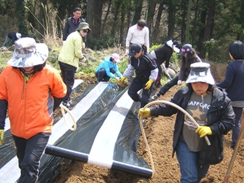 도시주부 농업 체험농장