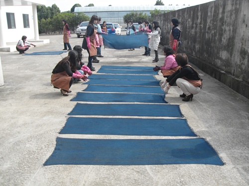 푸른농촌 희망찾기운동 양성교육