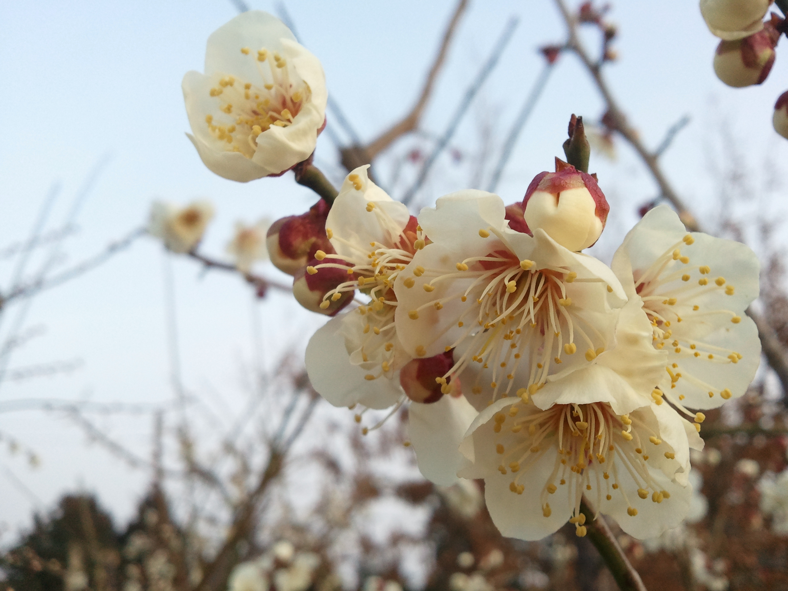 천연염색체험장의 봄