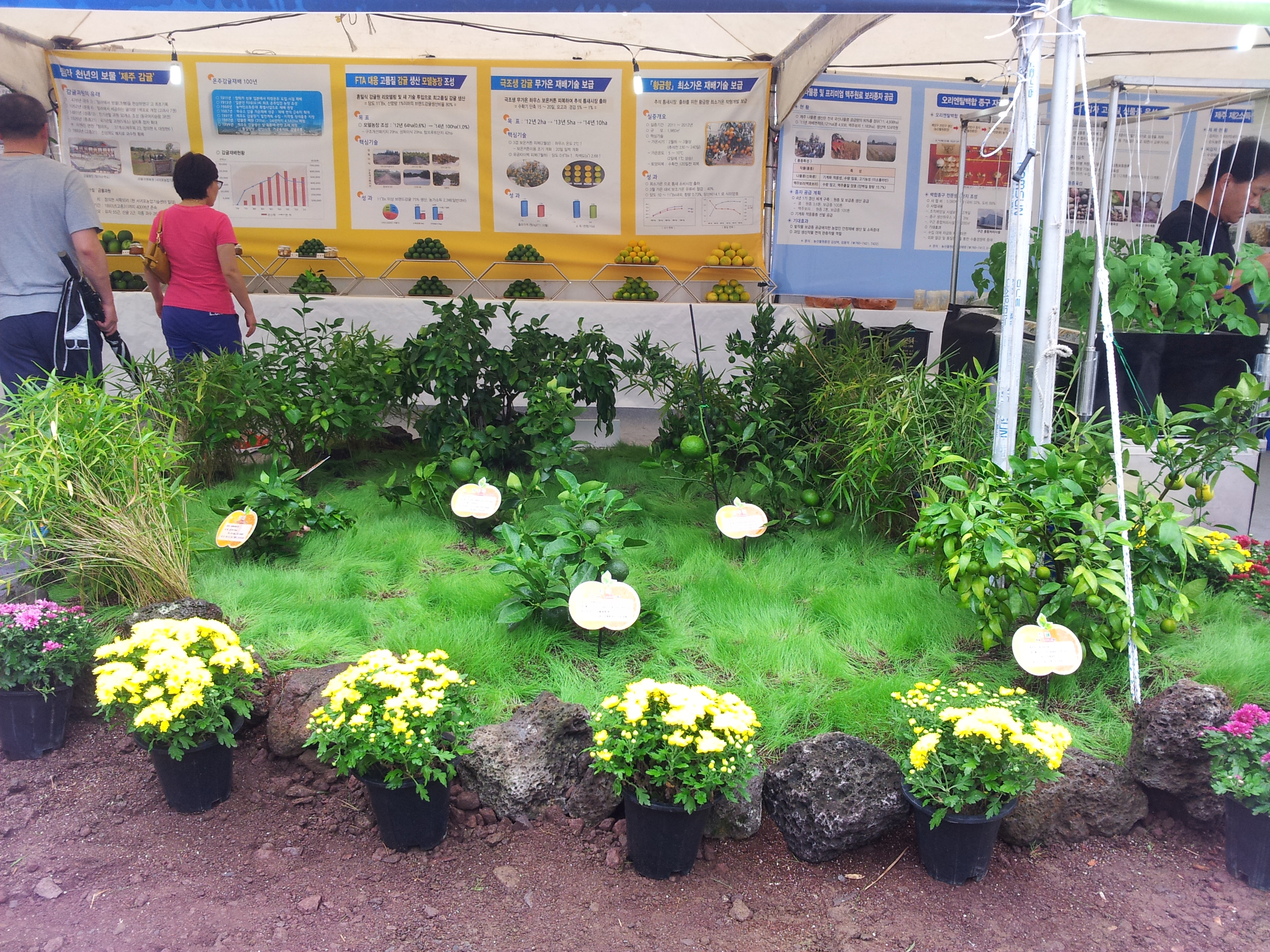 탐라대전 전시 현장(2012.9.13일)