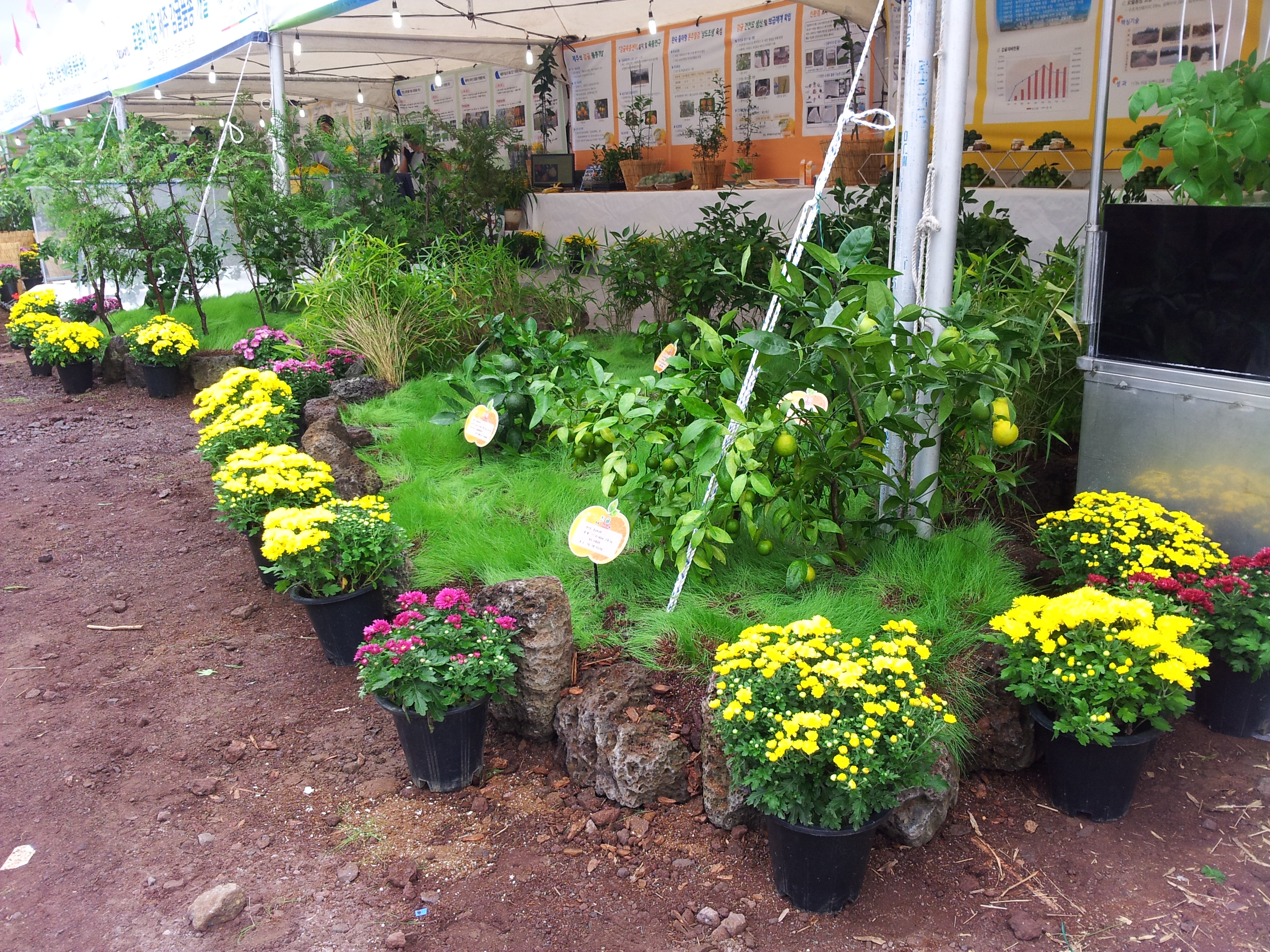 탐라대전 전시 현장(2012.9.13일)