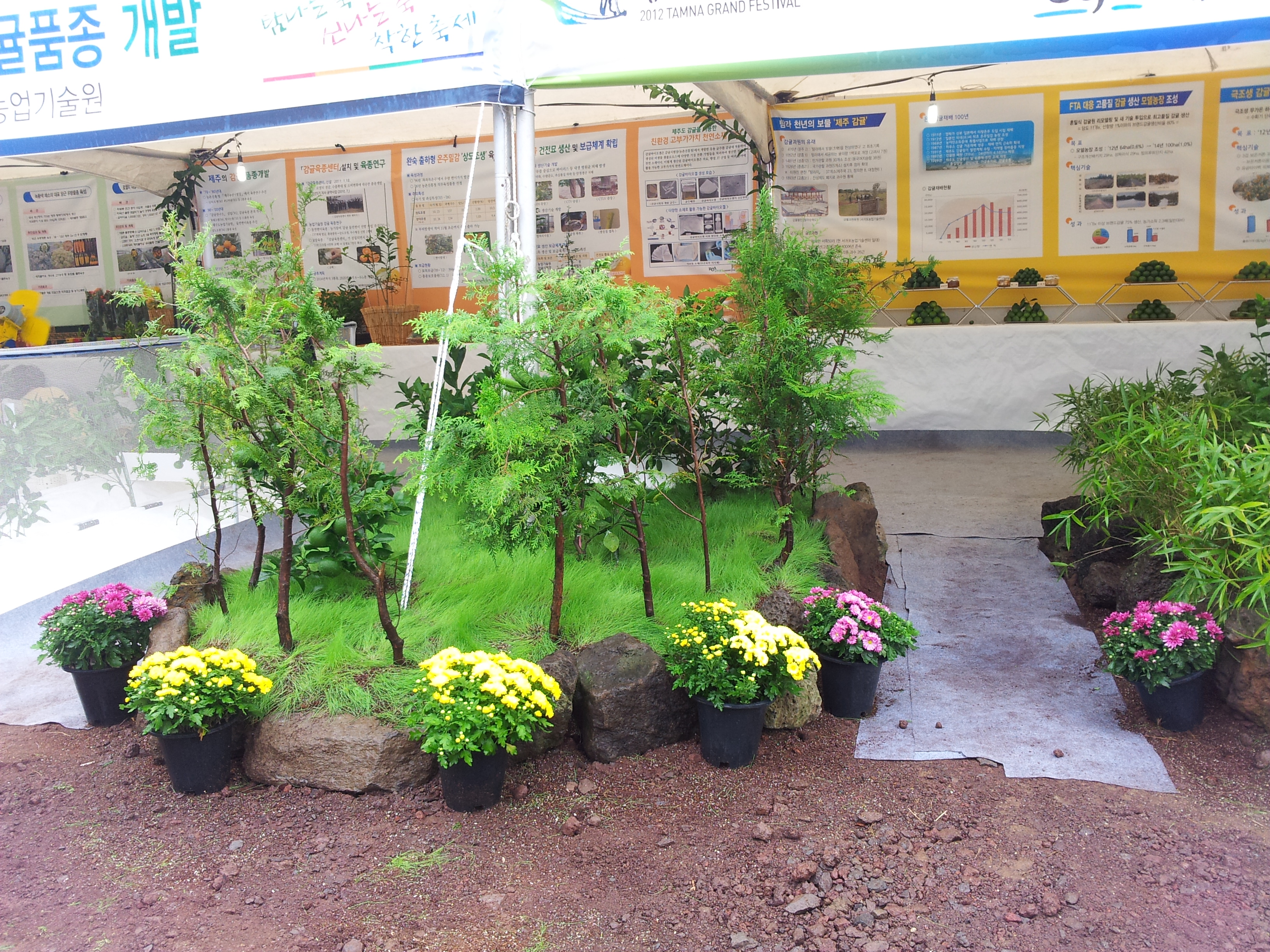 탐라대전 전시 현장(2012.9.13일)