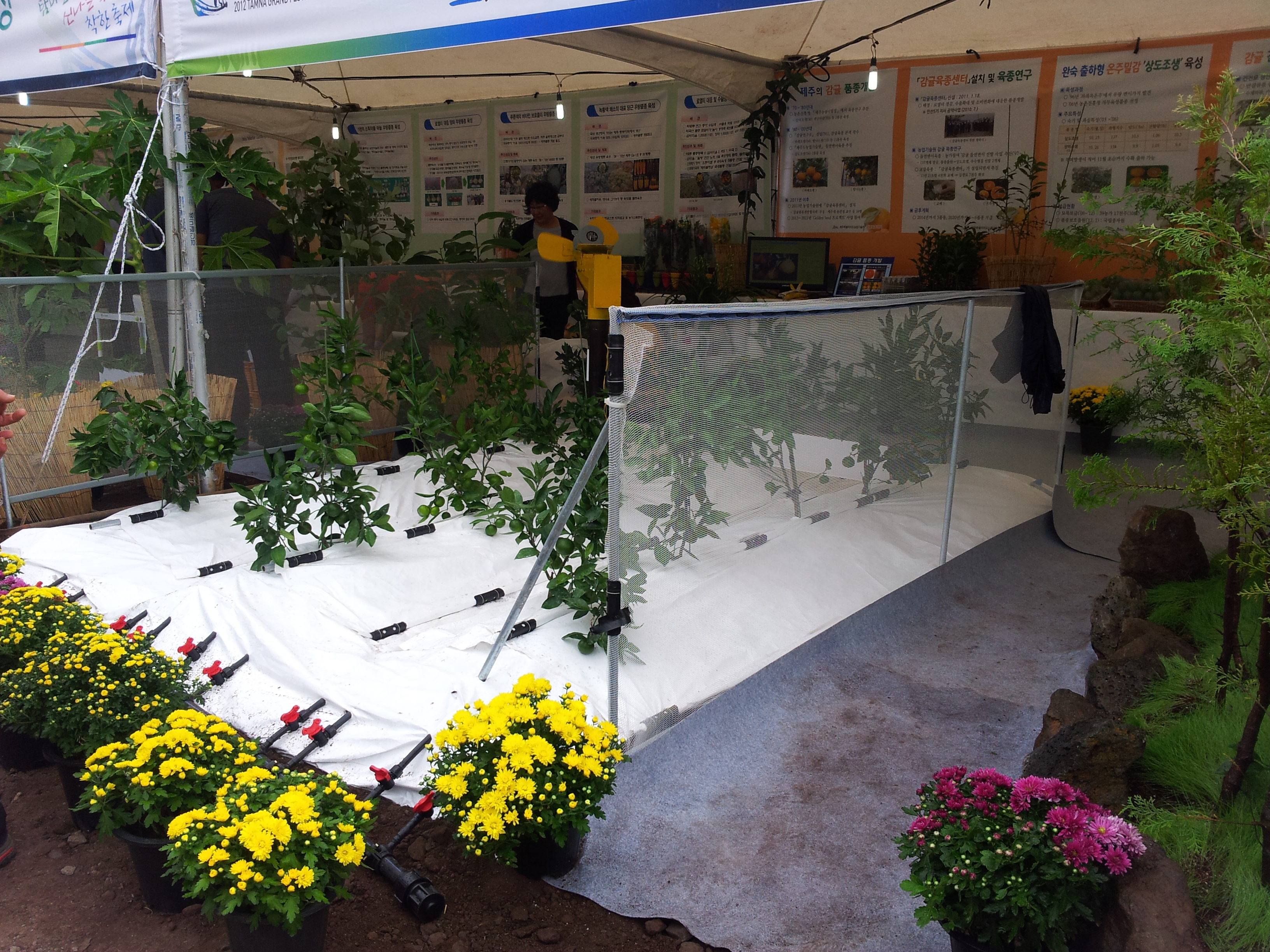 탐라대전 전시 현장(2012.9.13일)