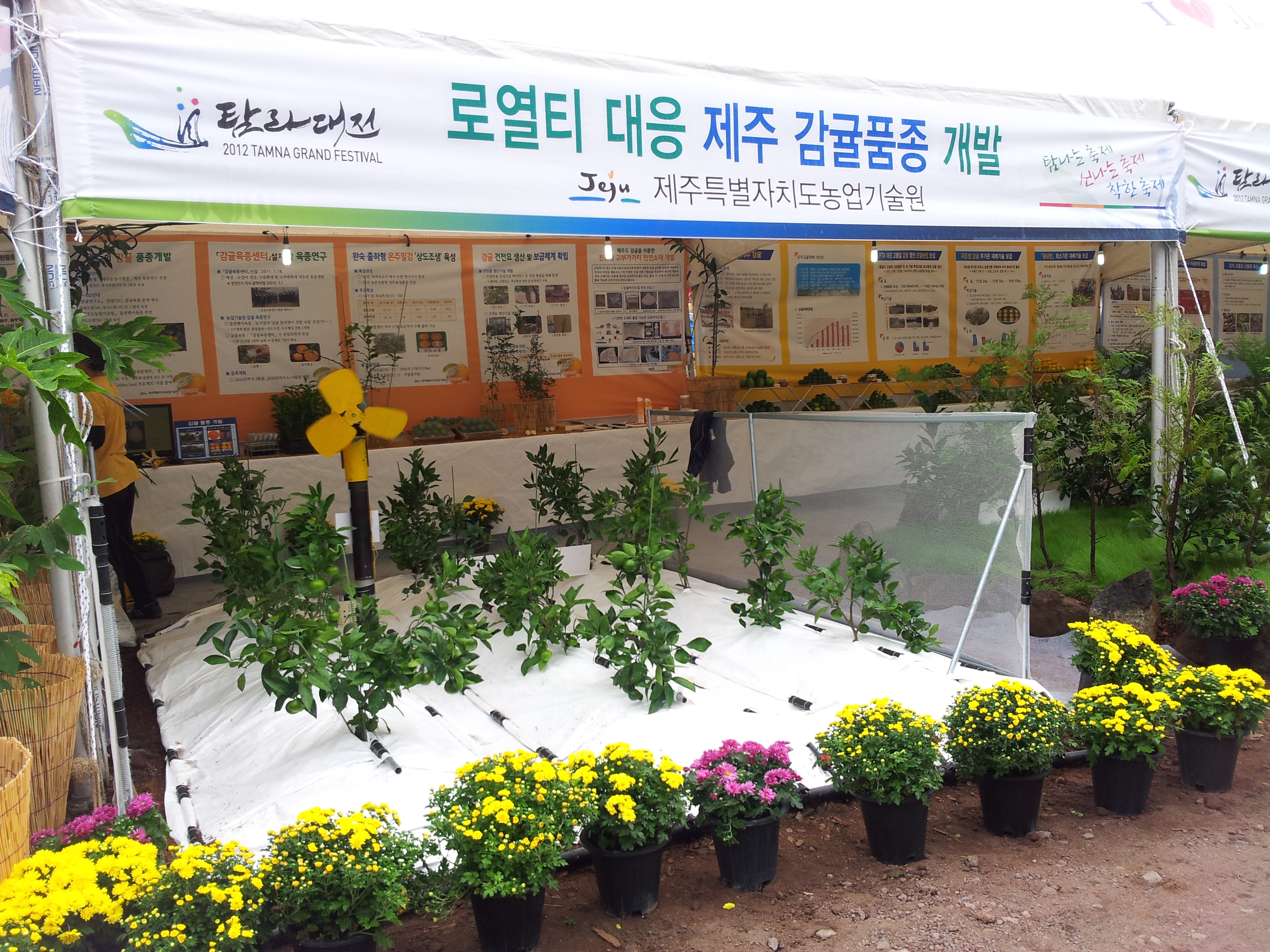 탐라대전 전시 현장(2012.9.13일)