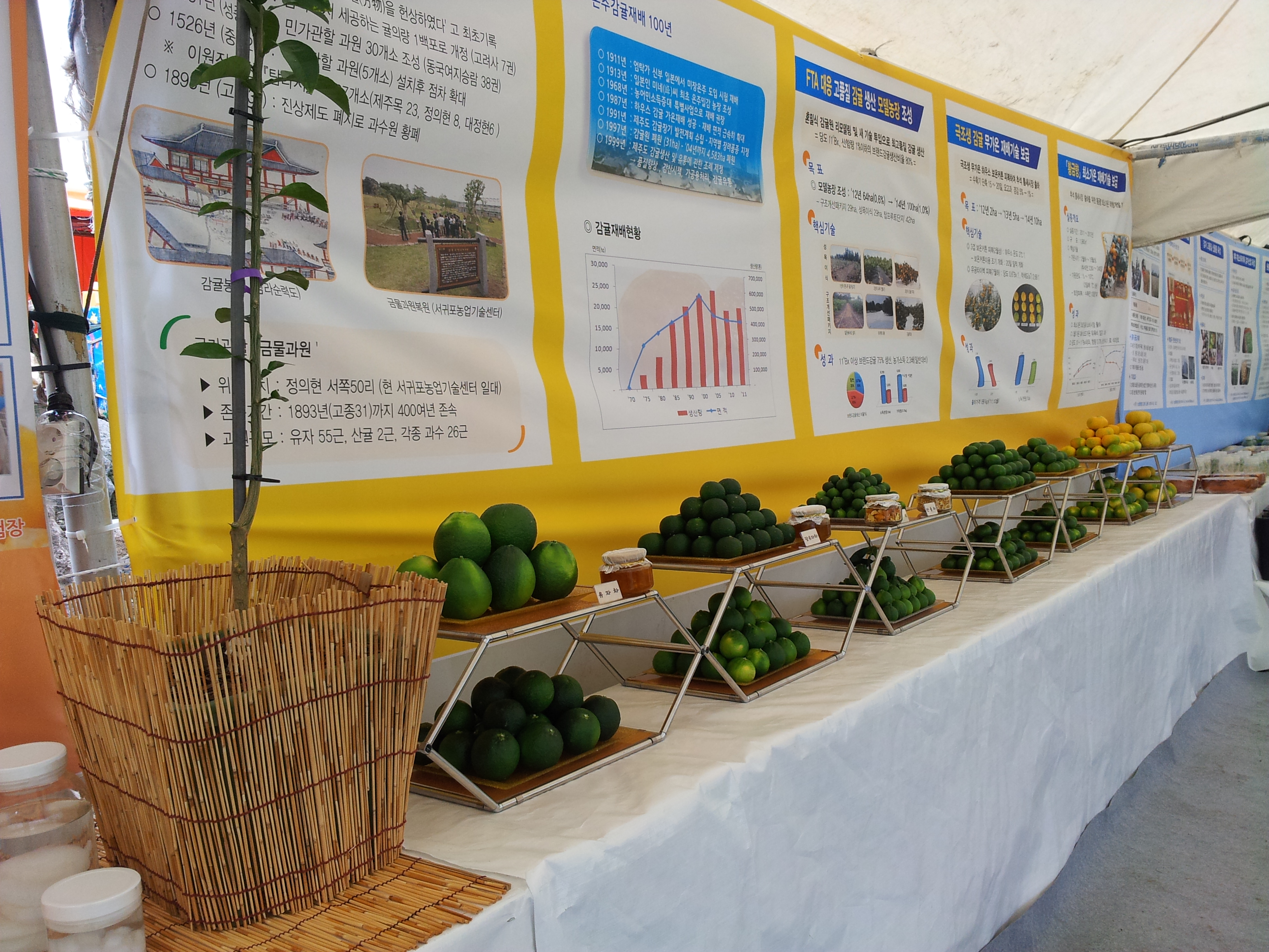 탐라대전 전시 현장(2012.9.13일)