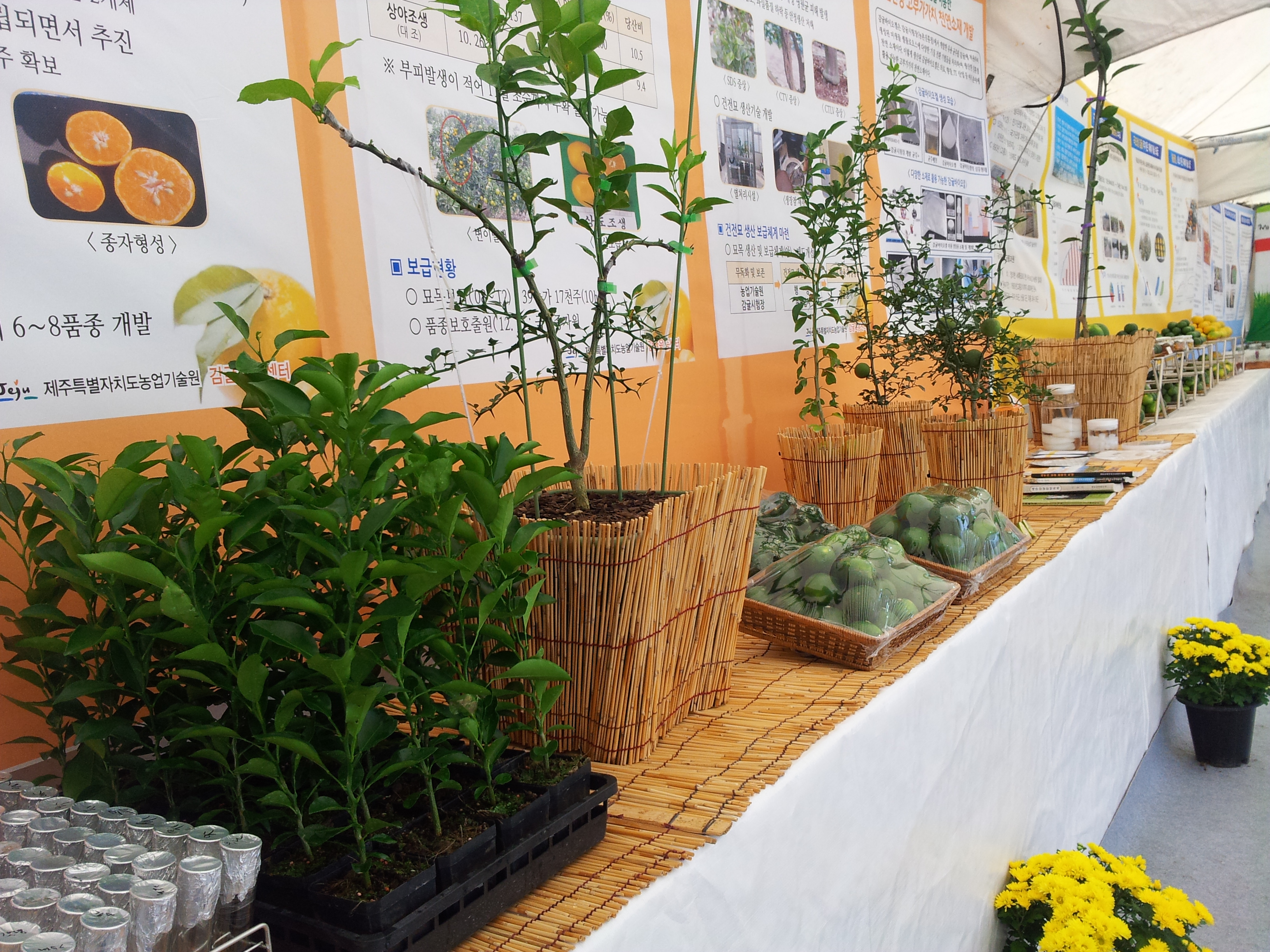 탐라대전 전시 현장(2012.9.13일)