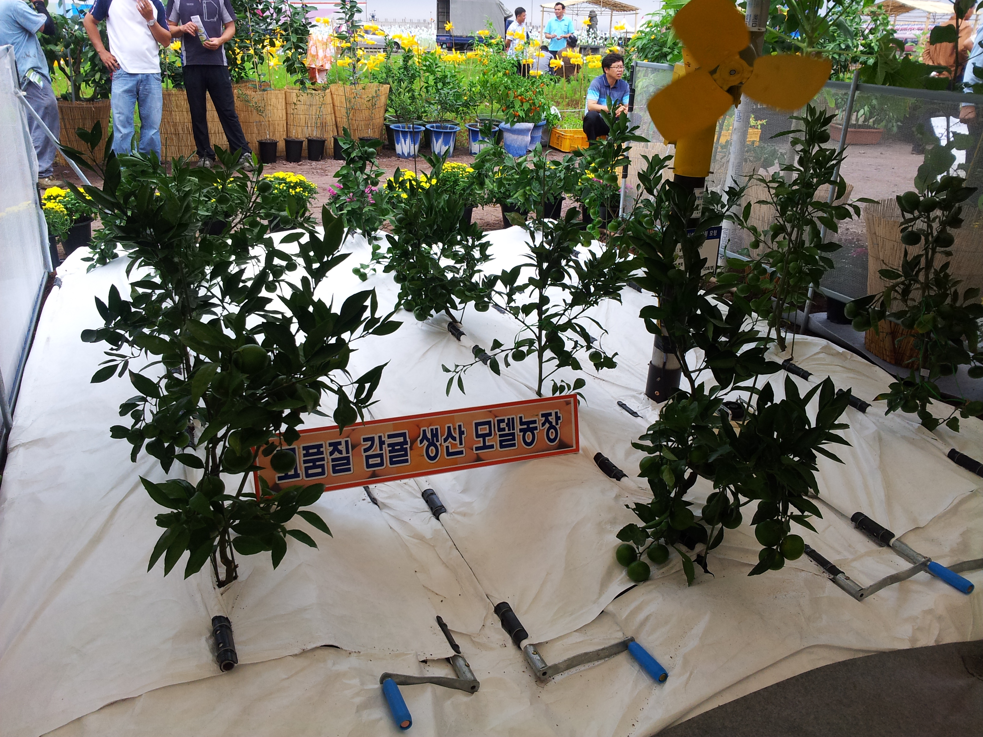 탐라대전 전시 현장(2012.9.13일)