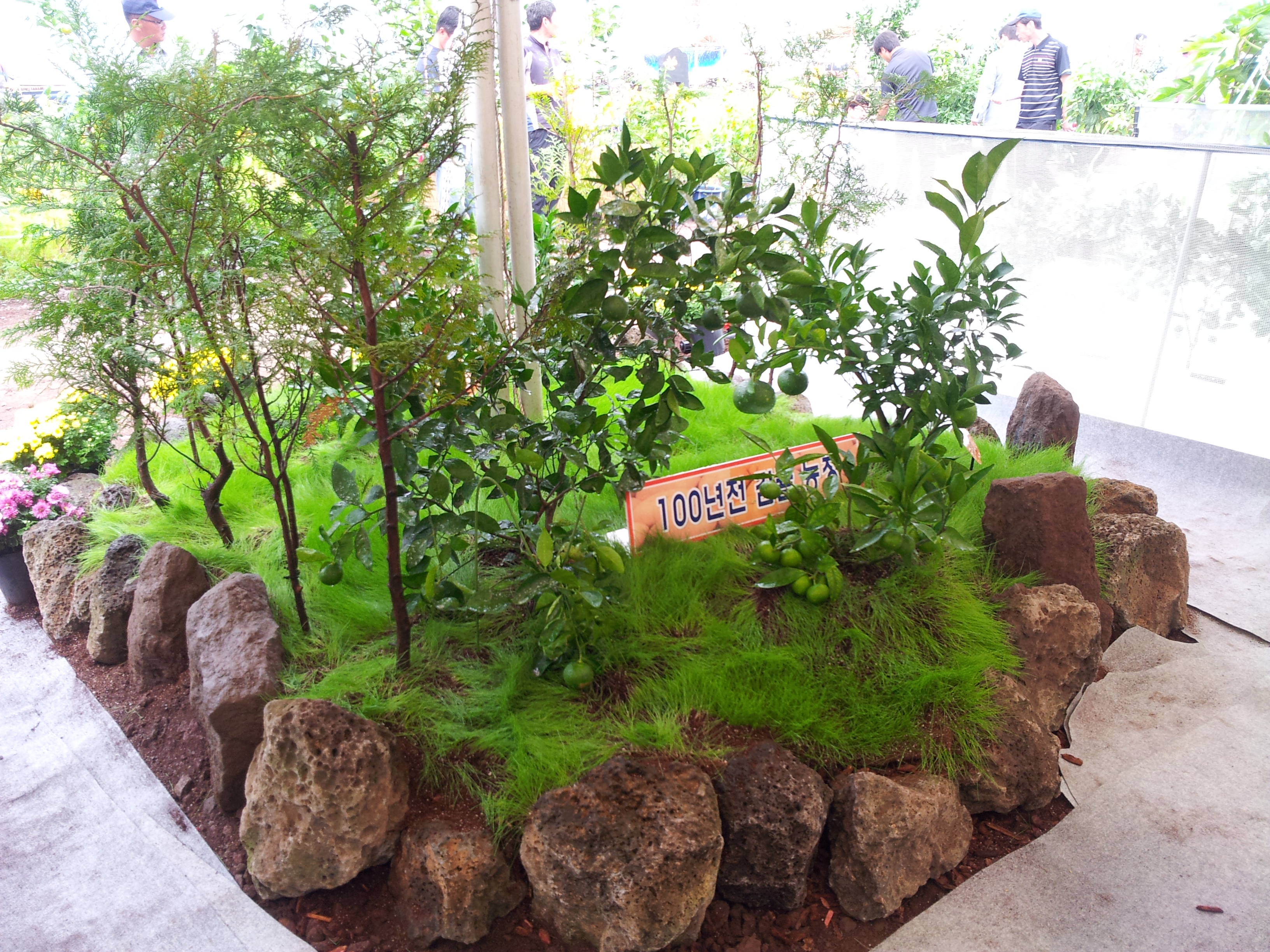 탐라대전 전시 현장(2012.9.13일)