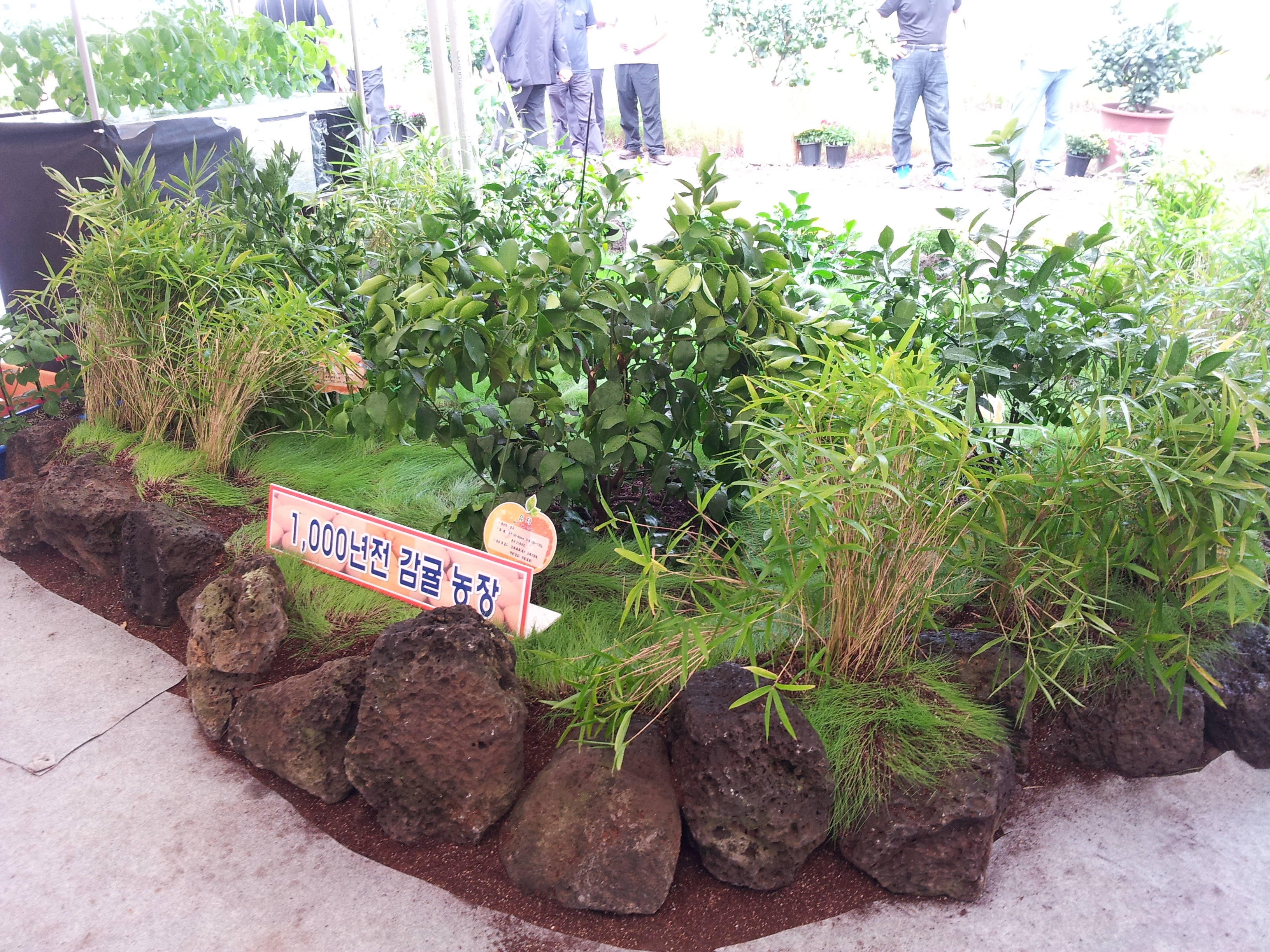 탐라대전 전시 현장(2012.9.13일)