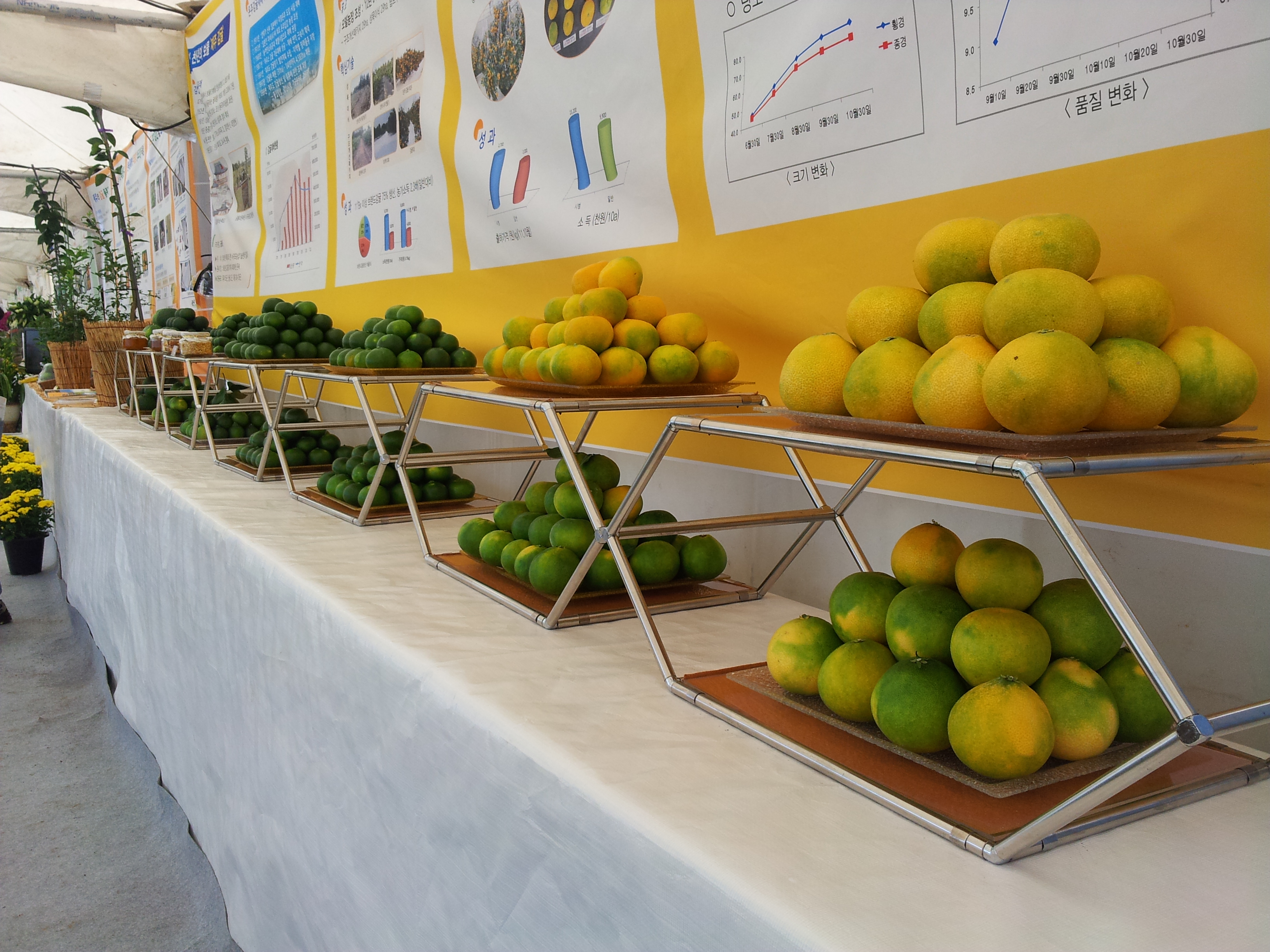 탐라대전 전시 현장(2012.9.13일)