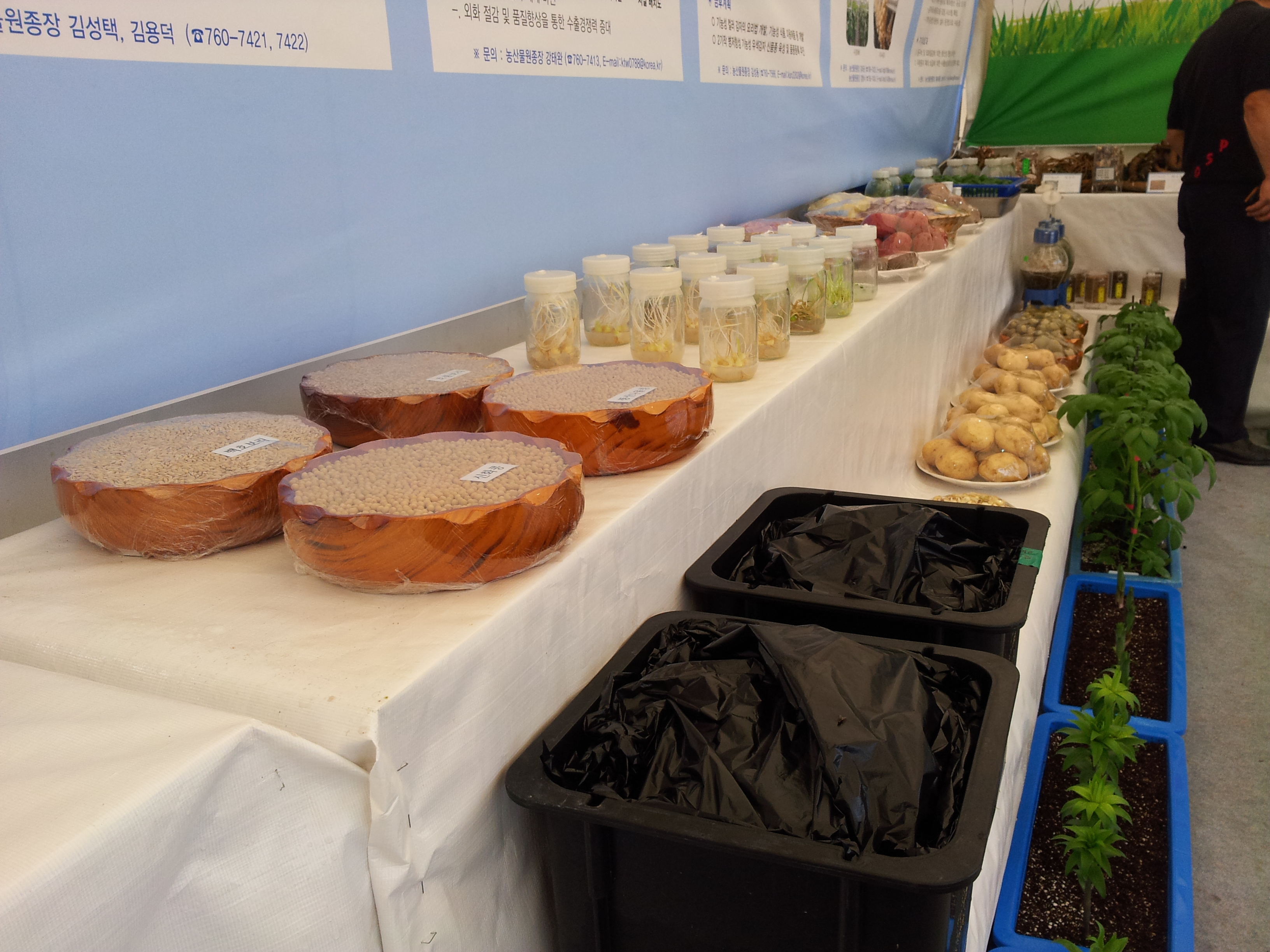 탐라대전 전시 현장(2012.9.13일)