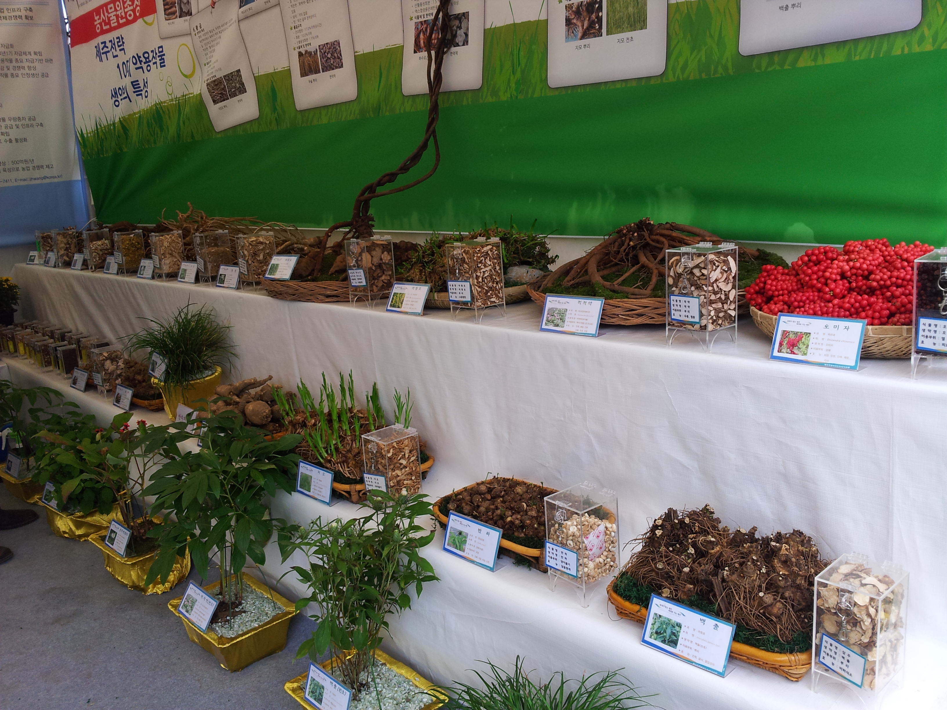 탐라대전 전시 현장(2012.9.13일)