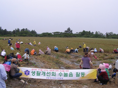 마늘 수확 체험 봉사활동 
