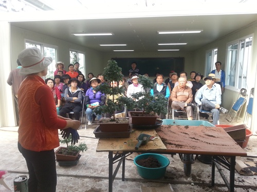 국화분재 전문인양성 교육