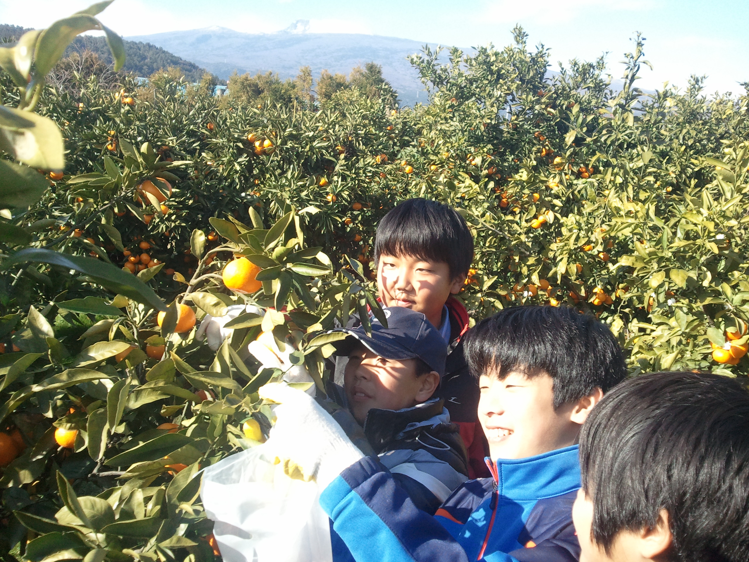 설문대할망이 보이는 제주농업생태원입니다.