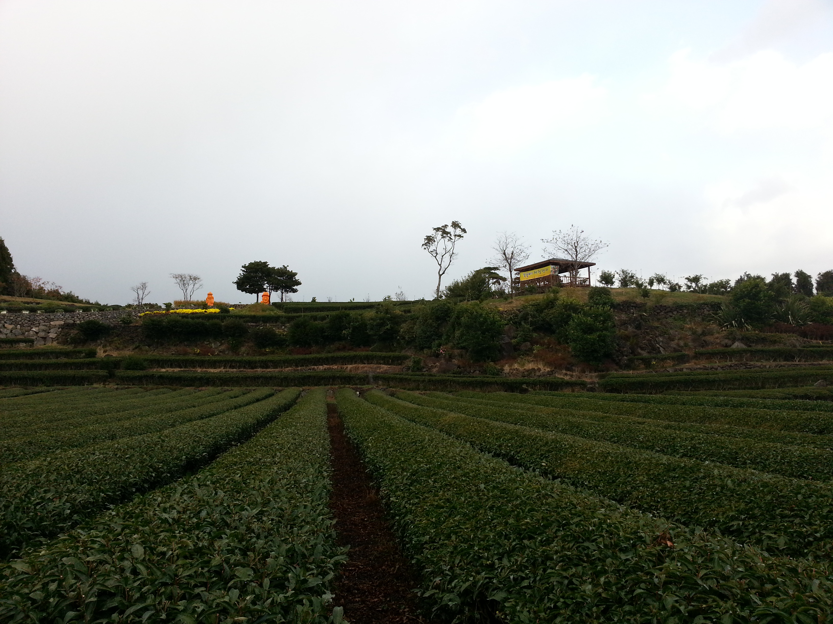 서귀포농업기술센터 내부 전경사진 입니다.