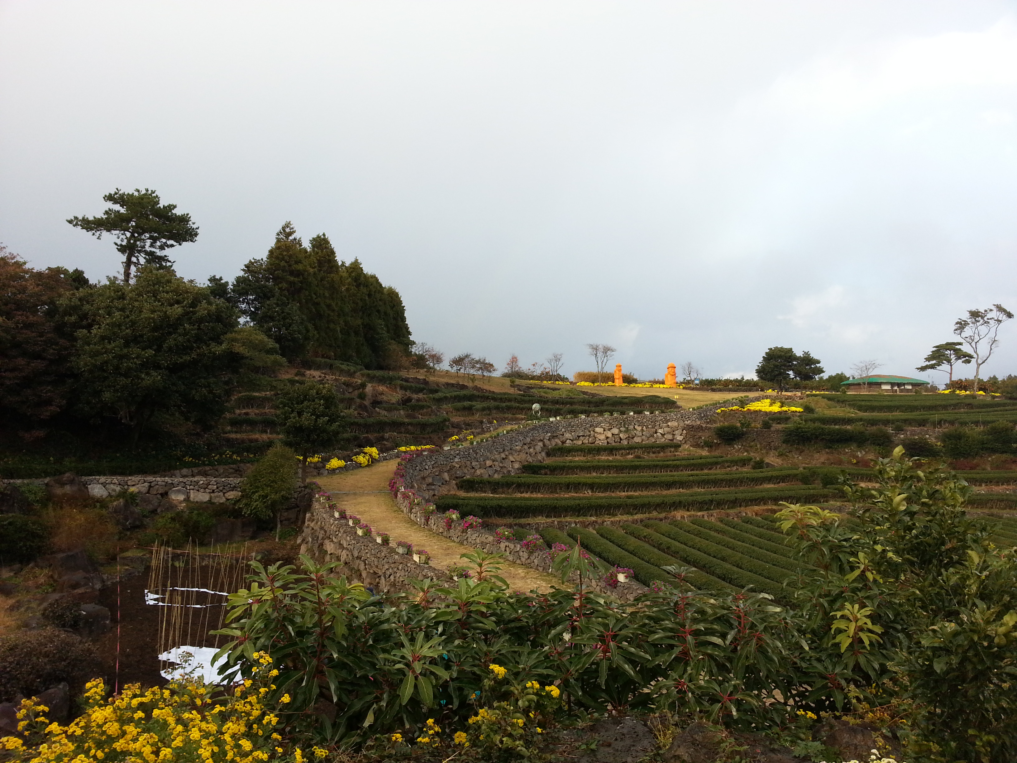 서귀포농업기술센터 내부 전경사진 입니다.