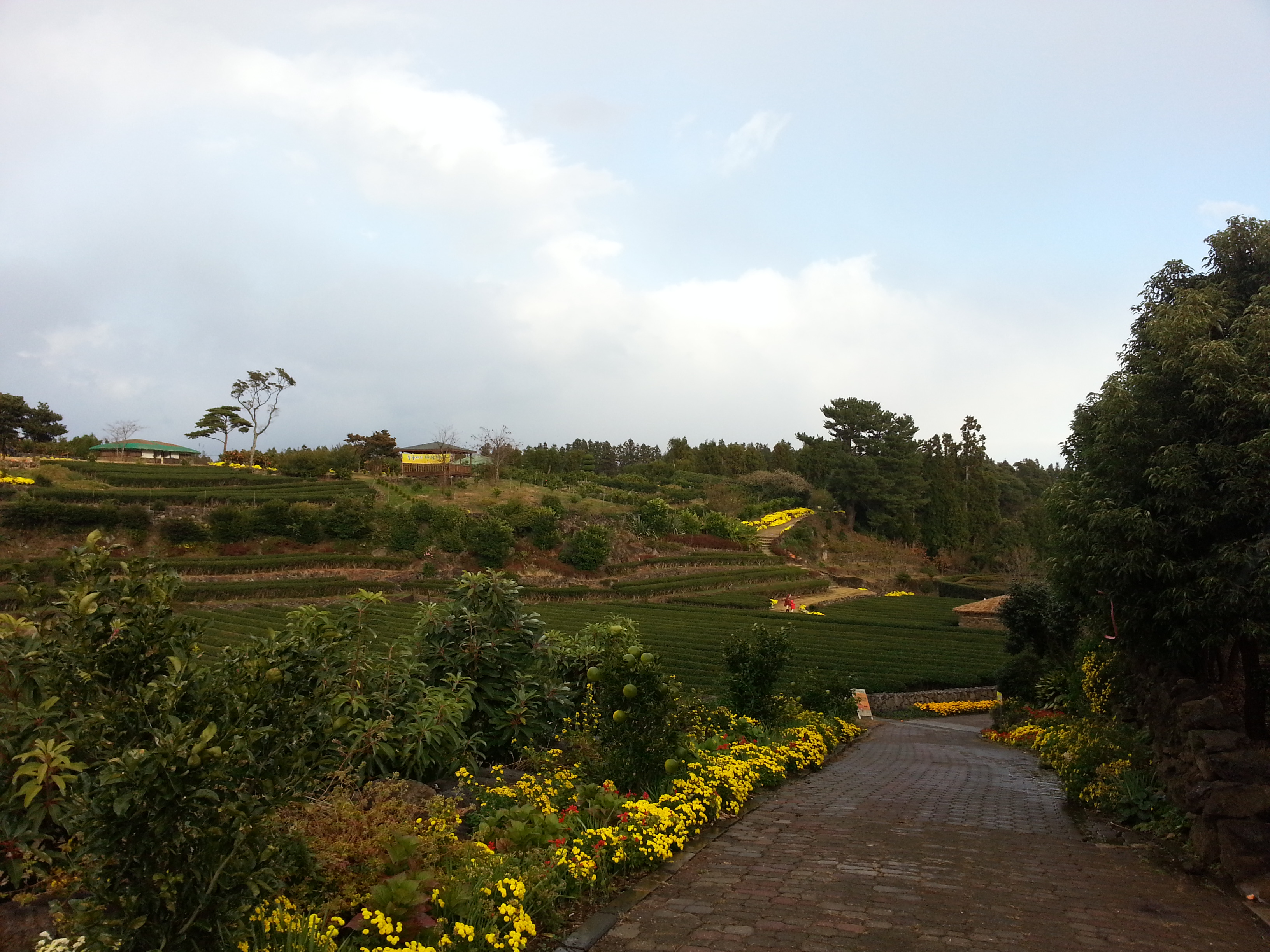 서귀포농업기술센터 내부 전경사진 입니다.