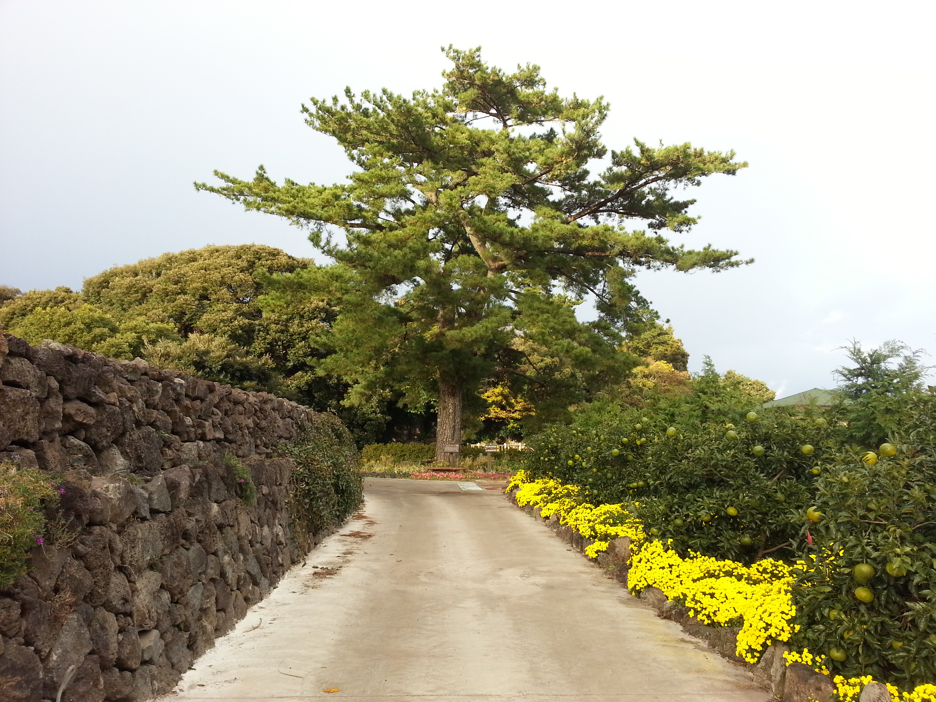 서귀포농업기술센터 내부 전경사진 입니다.