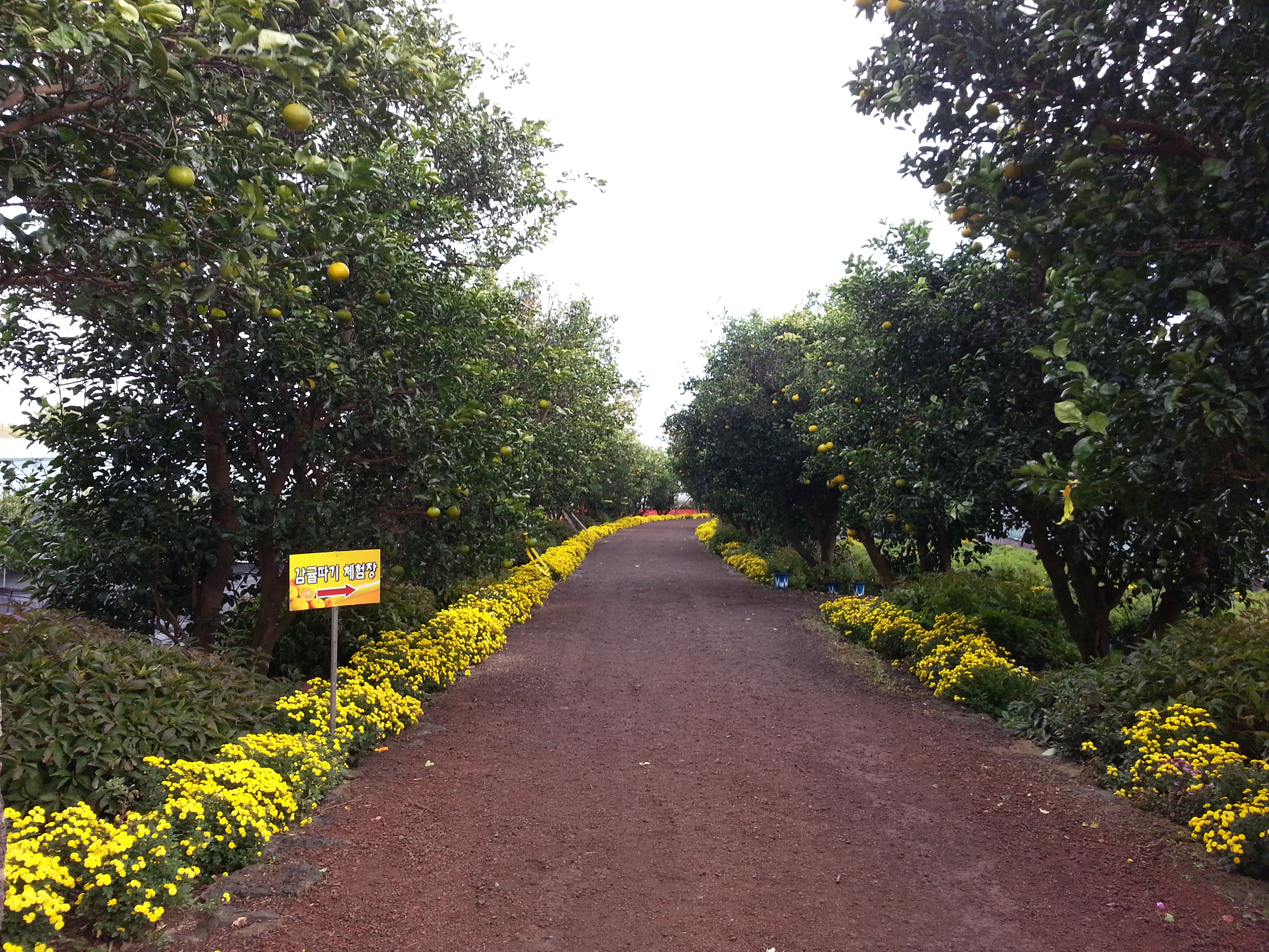 서귀포농업기술센터 내부 전경사진 입니다.