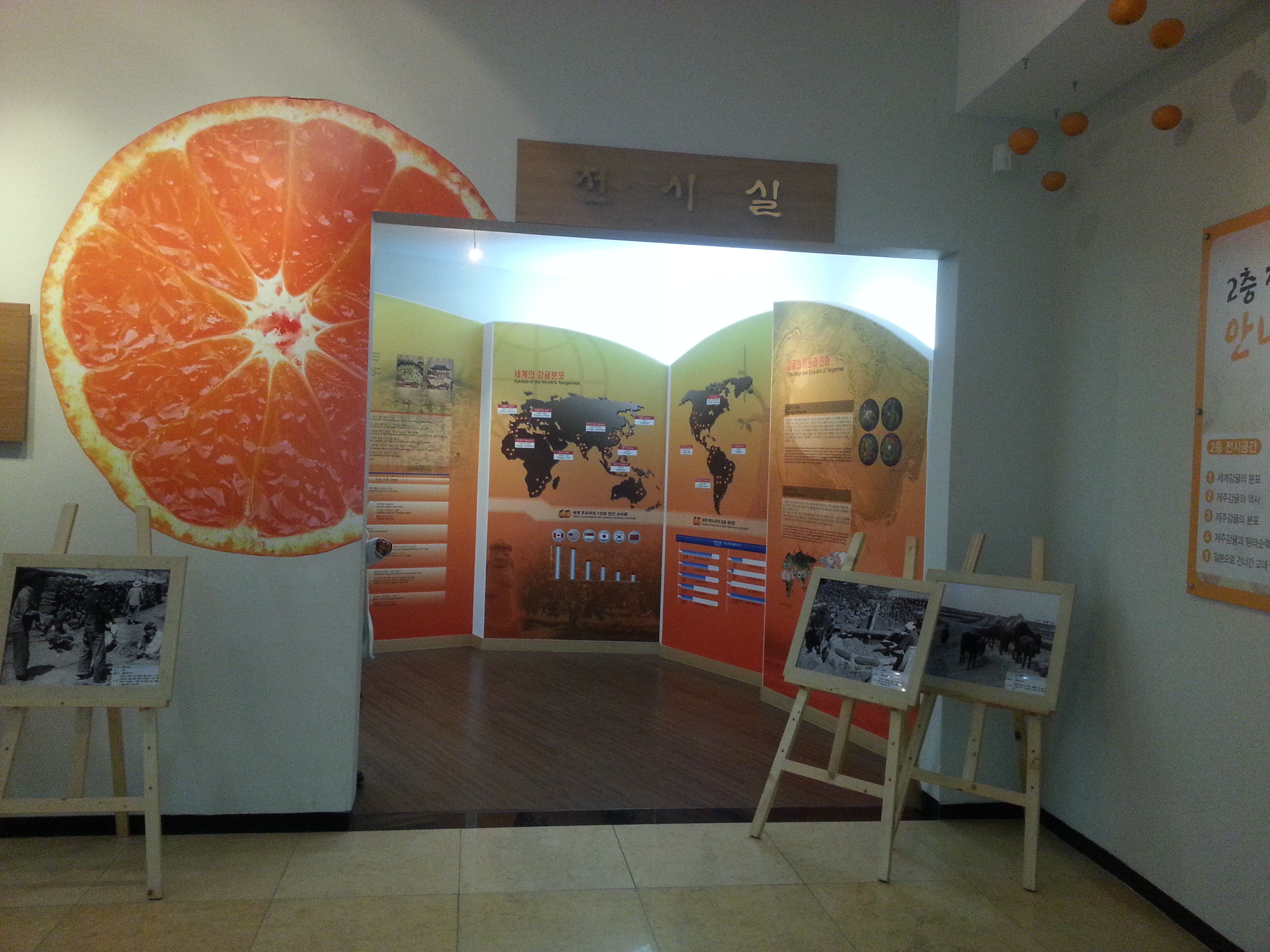 2013 서귀포세계감귤박람회!!!