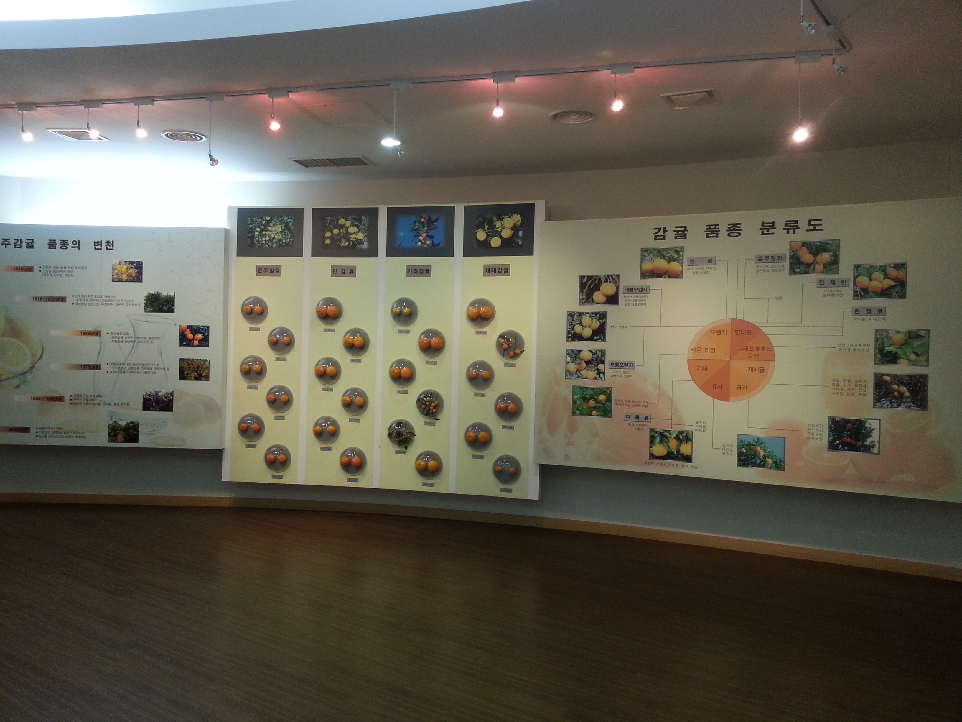 2013 서귀포세계감귤박람회!!!