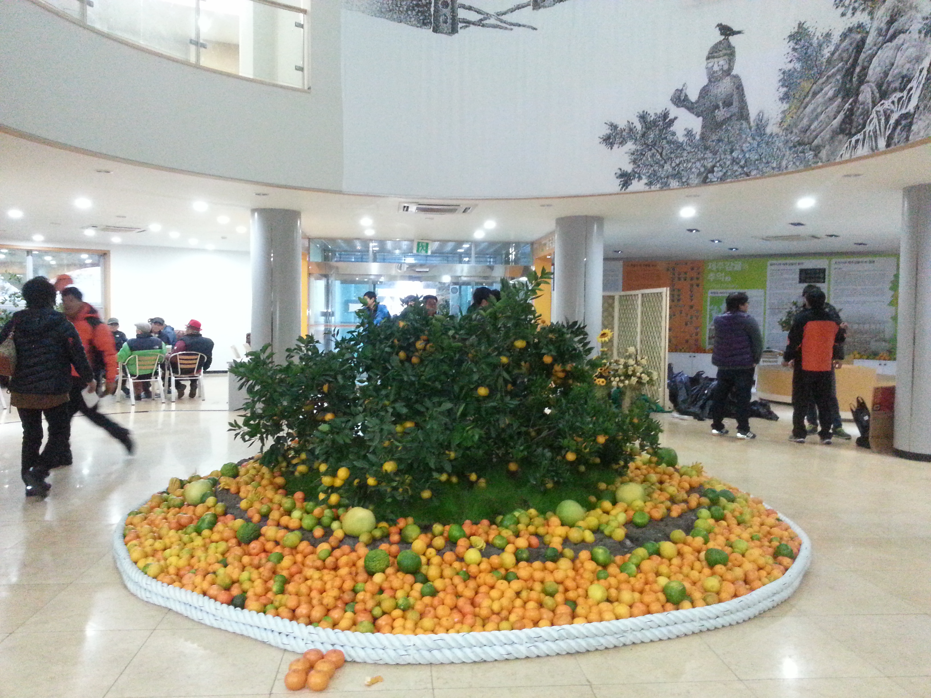 2013 서귀포세계감귤박람회!!!