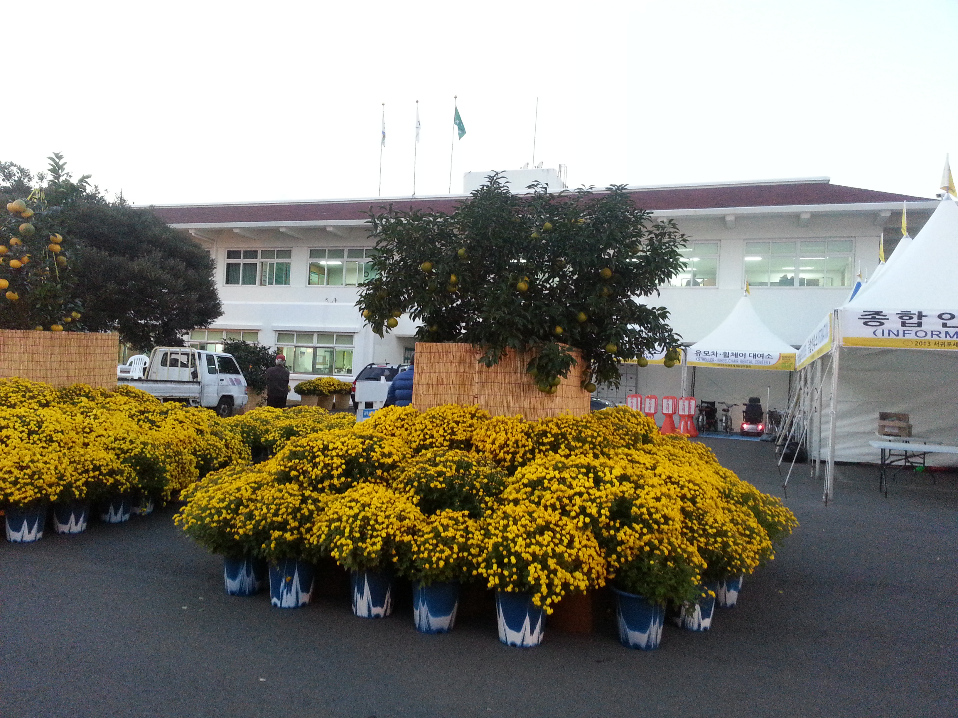 2013 서귀포세계감귤박람회!!!
