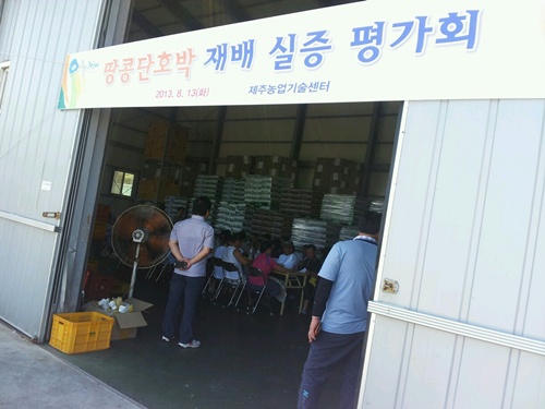 땅콩단호박 실증사업 평가회