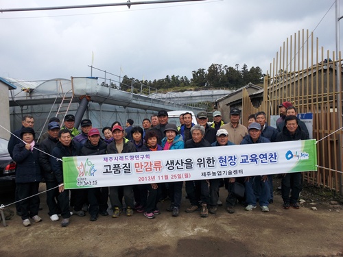 제주시레드향연구회 경쟁력 향상 현장 교육