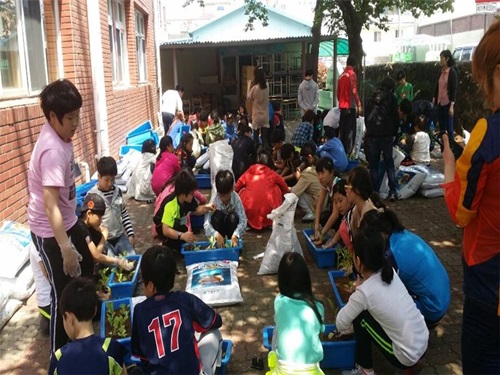 초등학교 원예활동