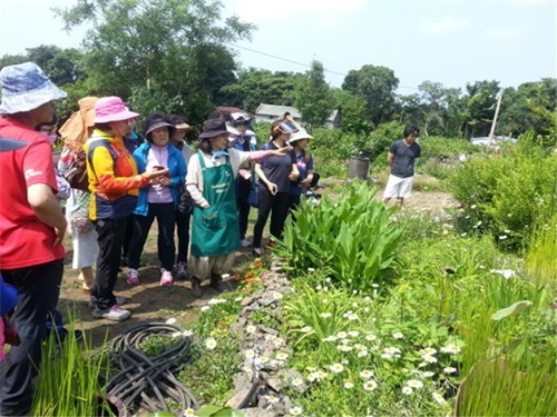 텃밭 채소가꾸기 교육