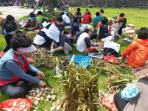 마늘 소비촉진을 위한 장아찌 만들기 교육