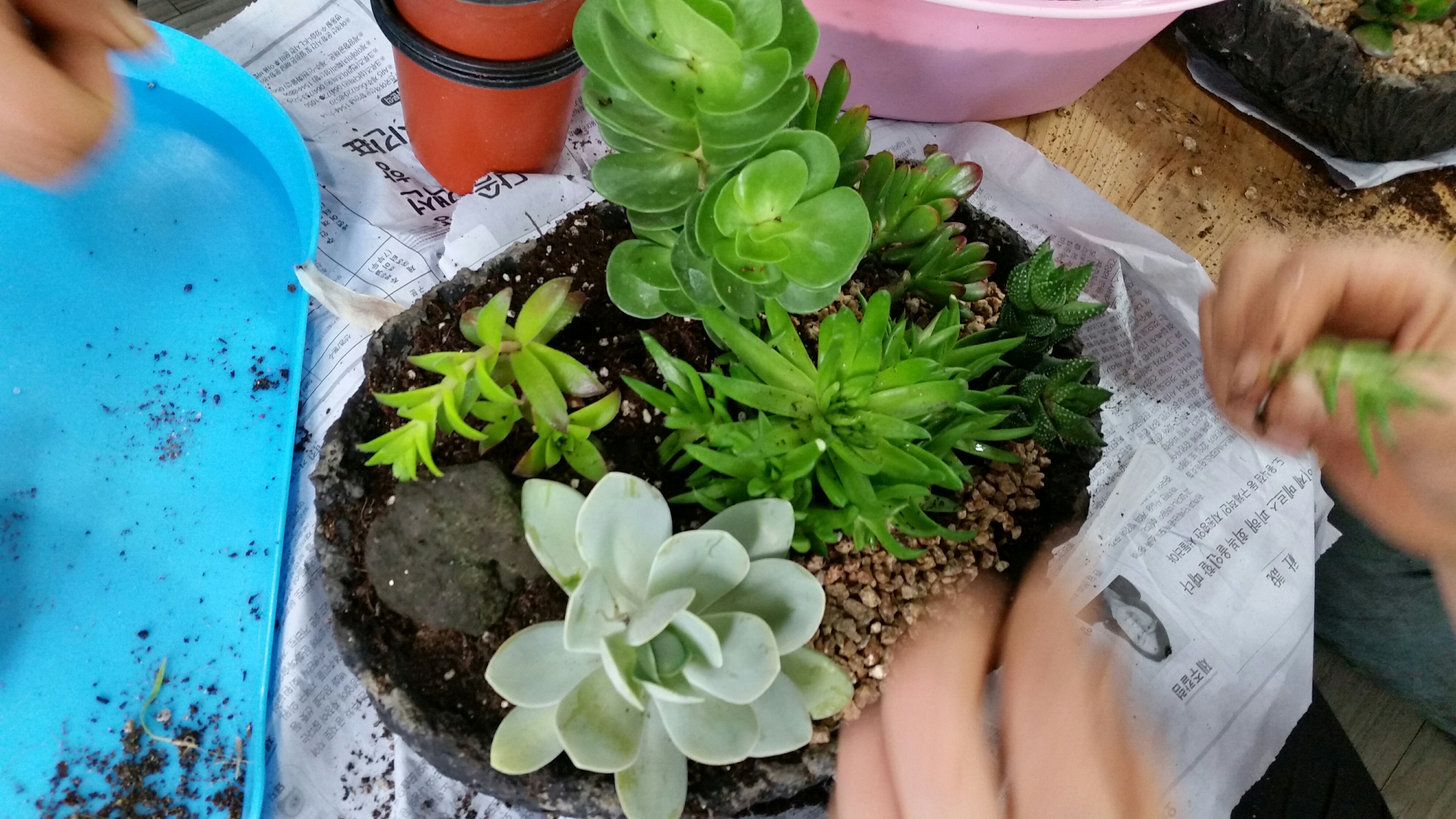 6차산업형 농산물소비활성화 프로그램 운영