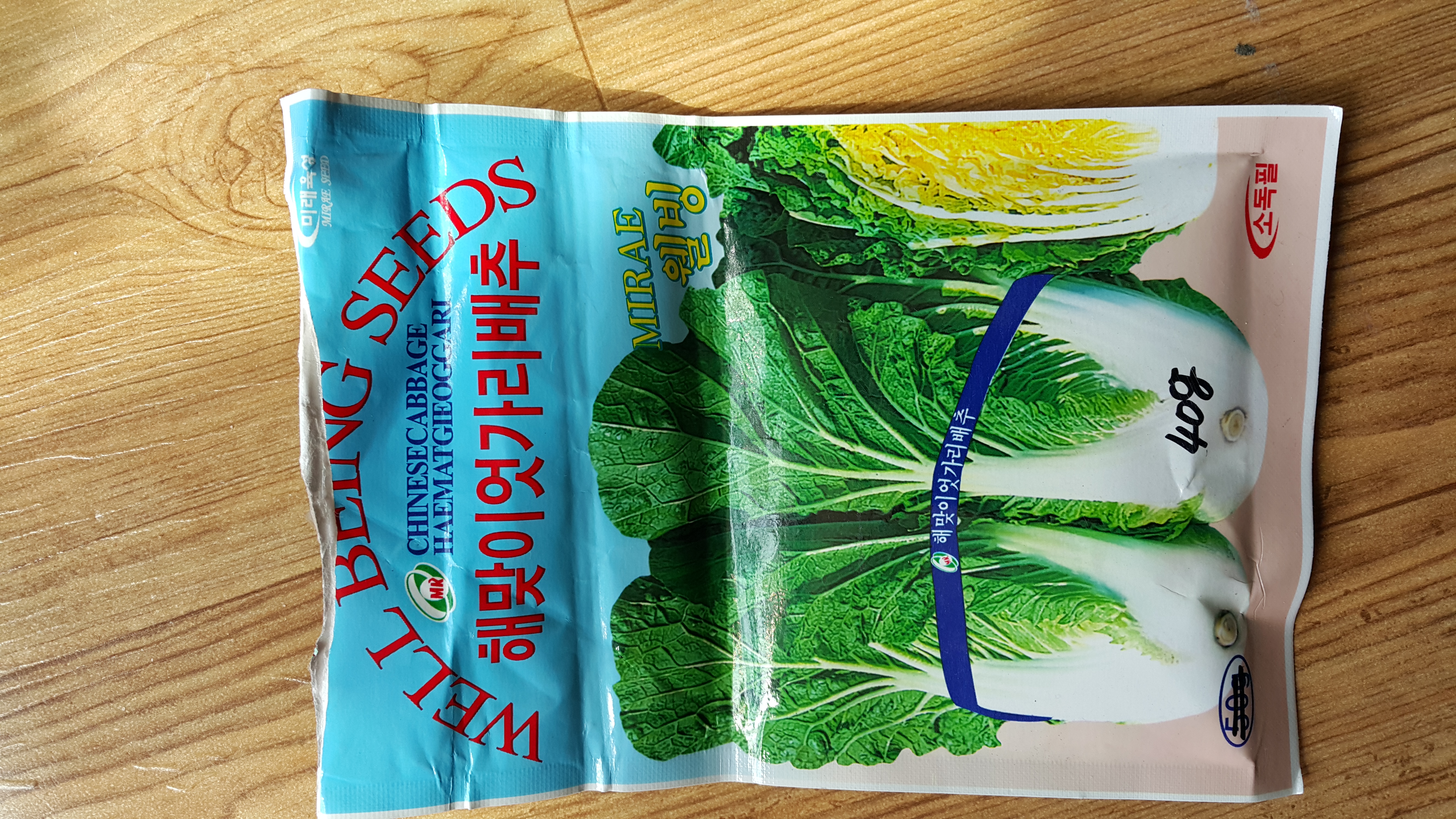 배추씨를 뿌렸는데 유독 하나만 다르게 자라요