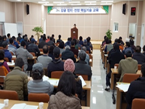 2016 감귤 정지전정 핵심기술 1회차 교육