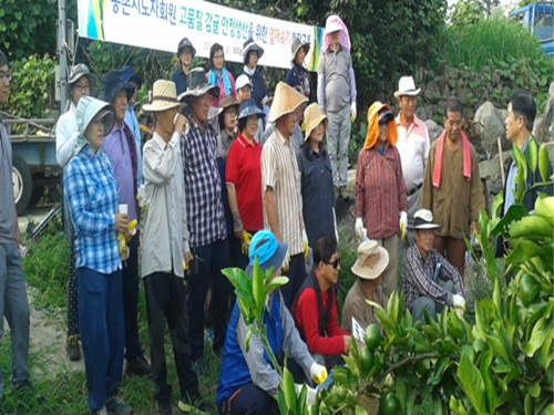 농촌지도자회원 열매솎기 현장교육