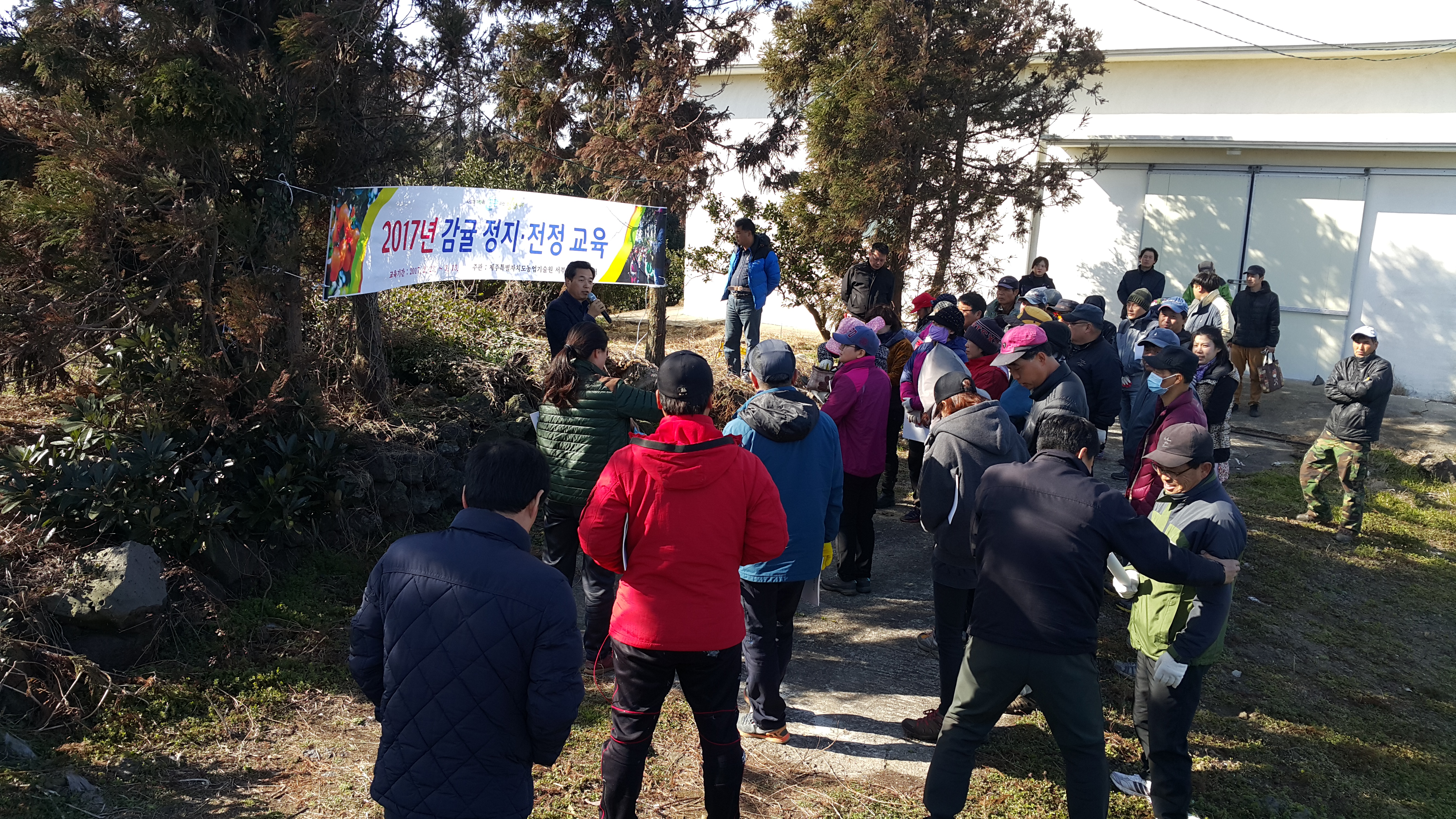 2017년 감귤 정지전정 교육