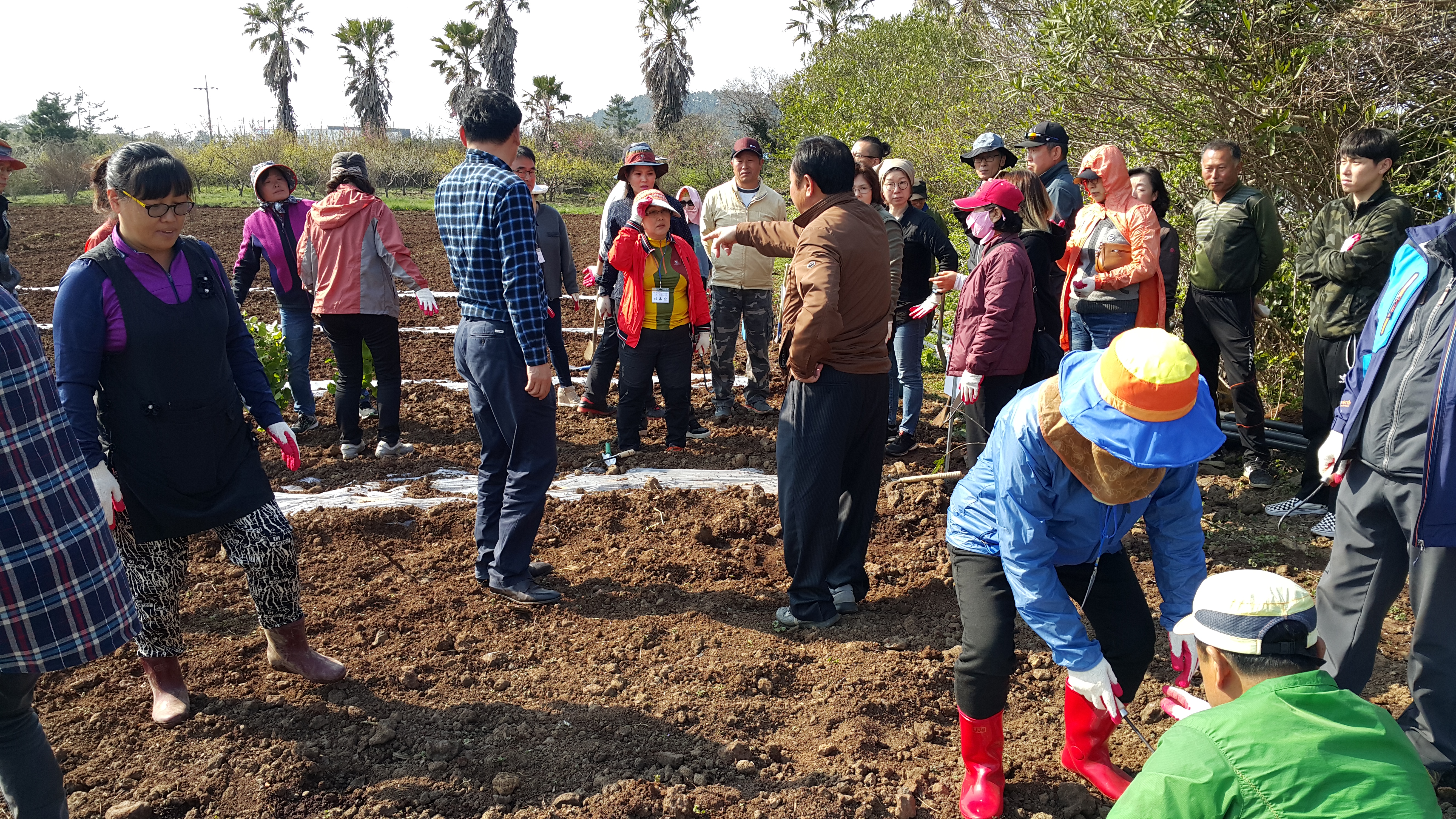 2017년 신규농업인 기초교육(채소기초반)