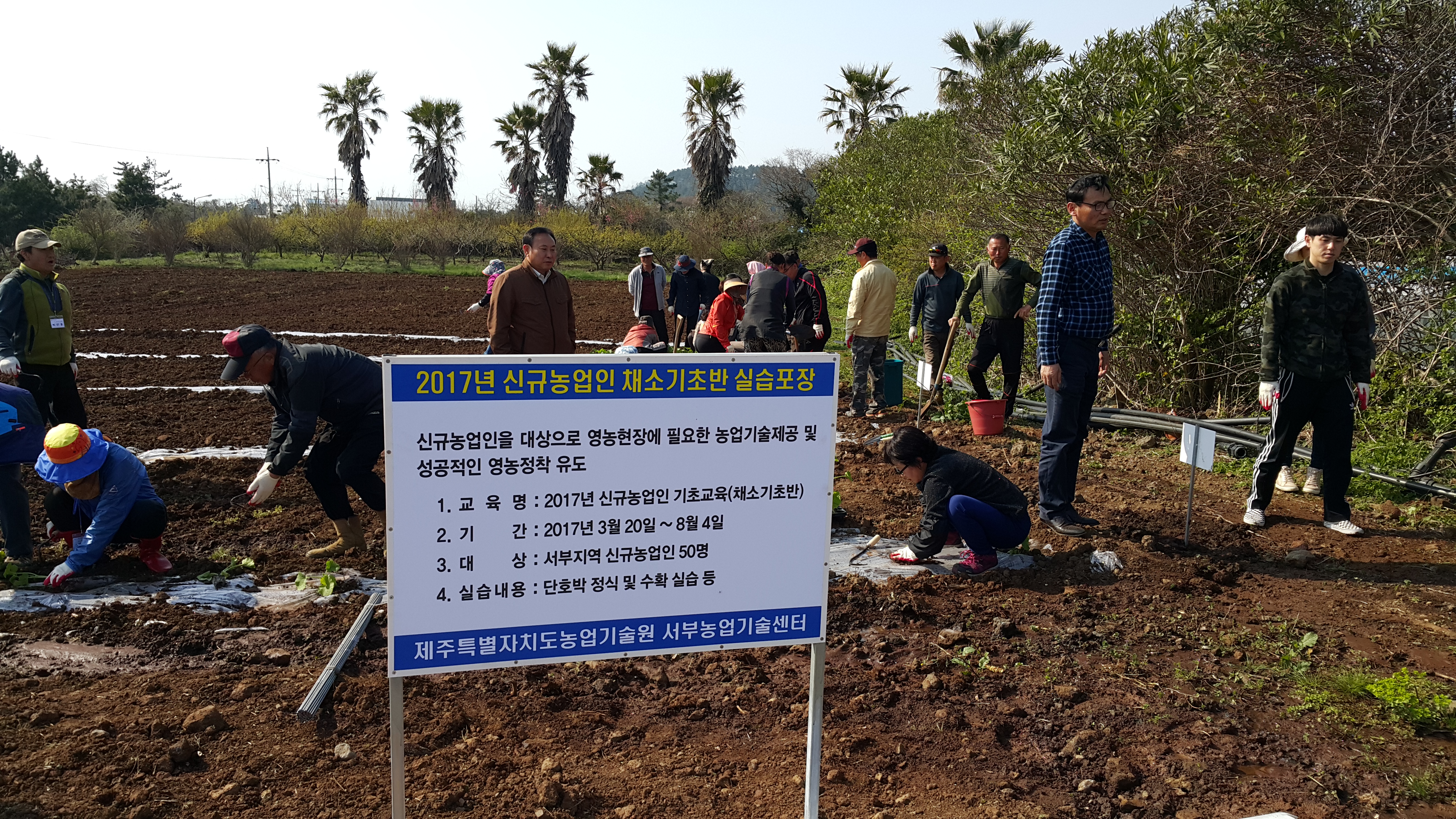 2017년 신규농업인 기초교육(채소기초반)