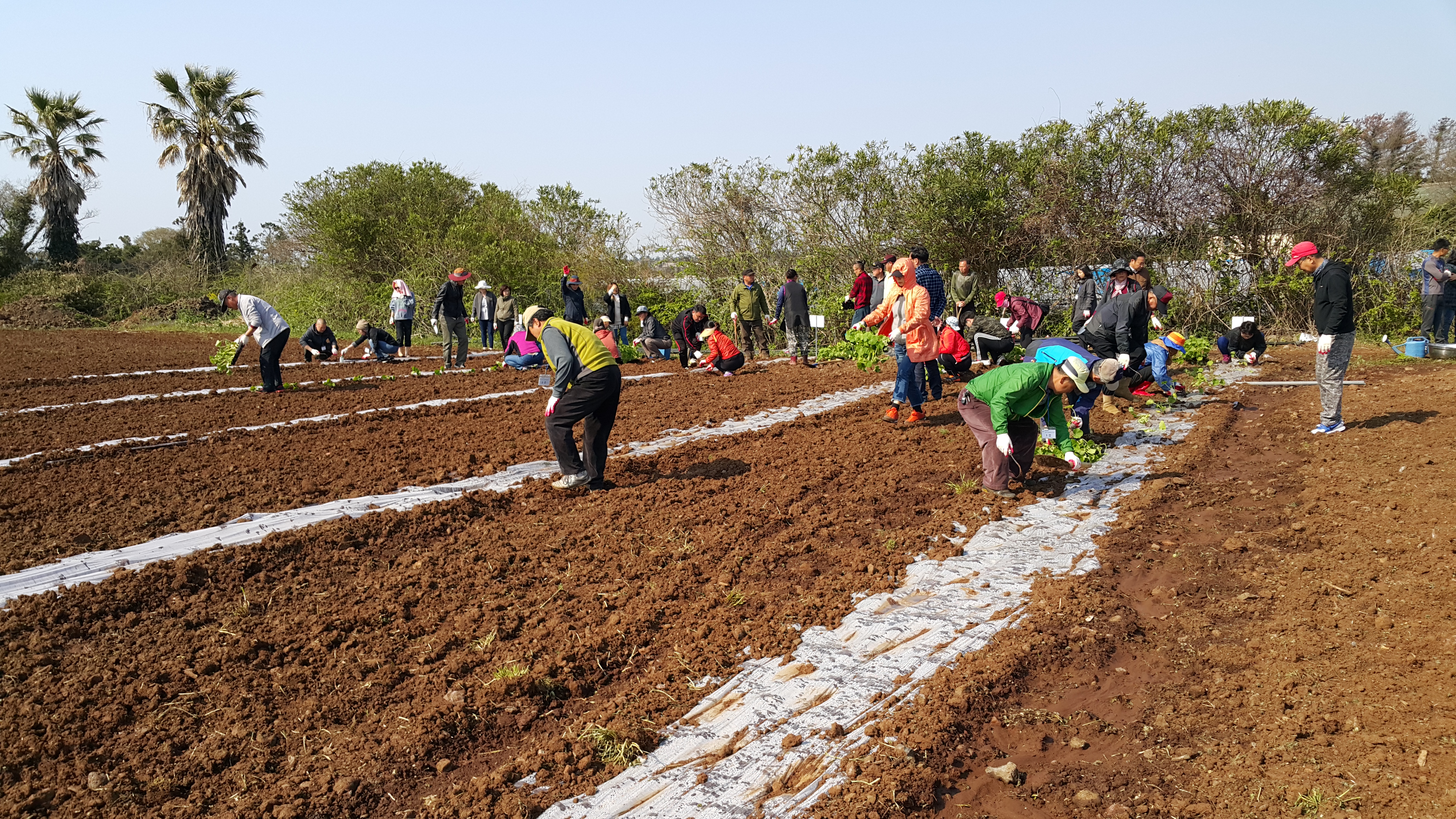 2017년 신규농업인 기초교육(채소기초반)
