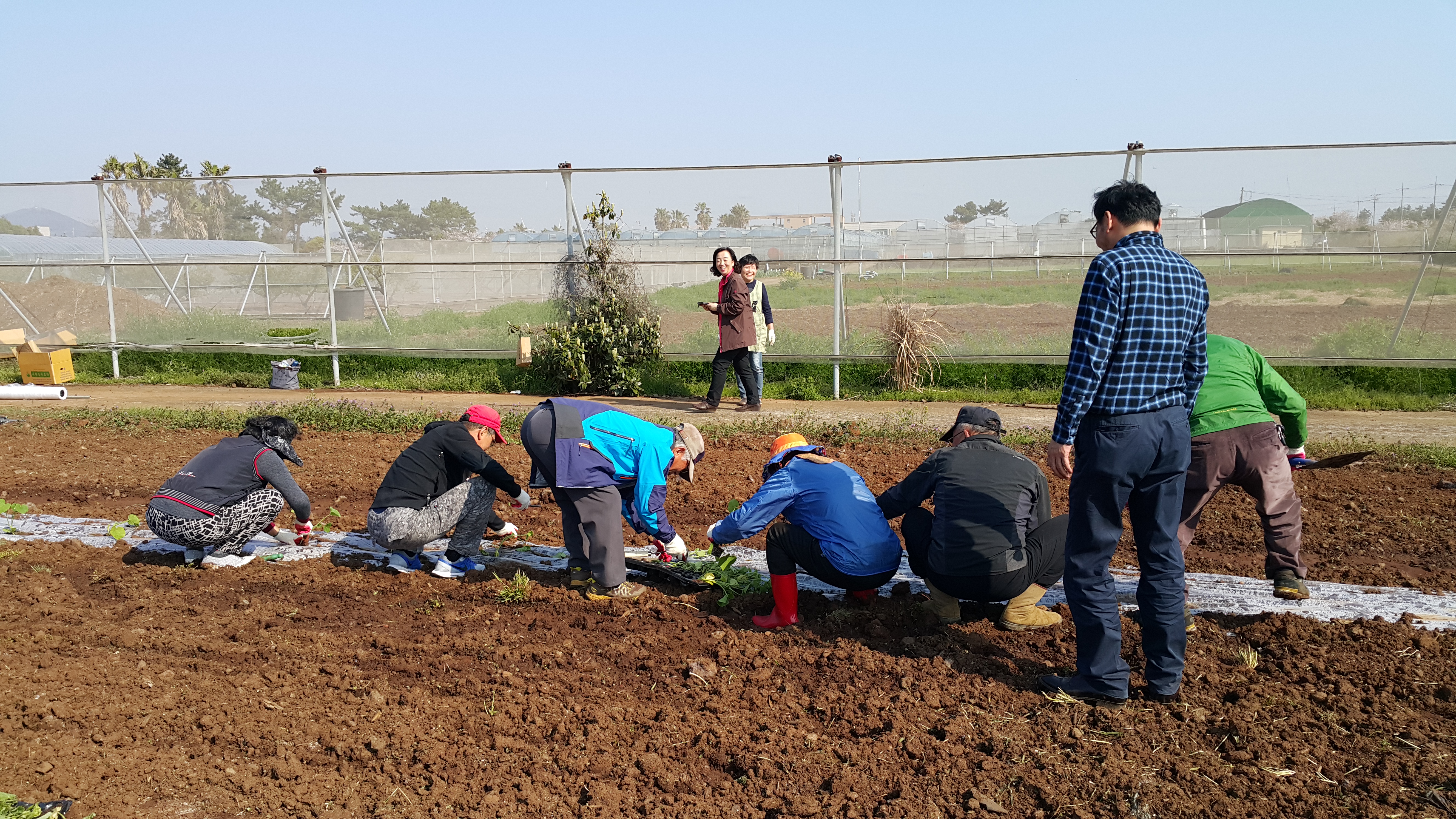 2017년 신규농업인 기초교육(채소기초반)